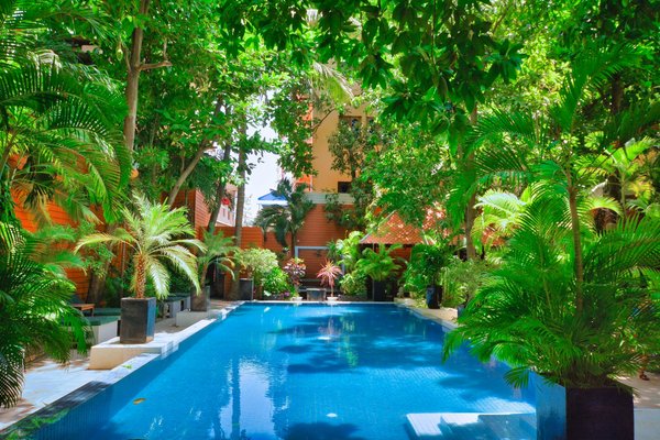 How can you achieve a tropical landscape around your UK home swimming pool?